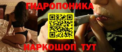 альфа пвп Кингисепп