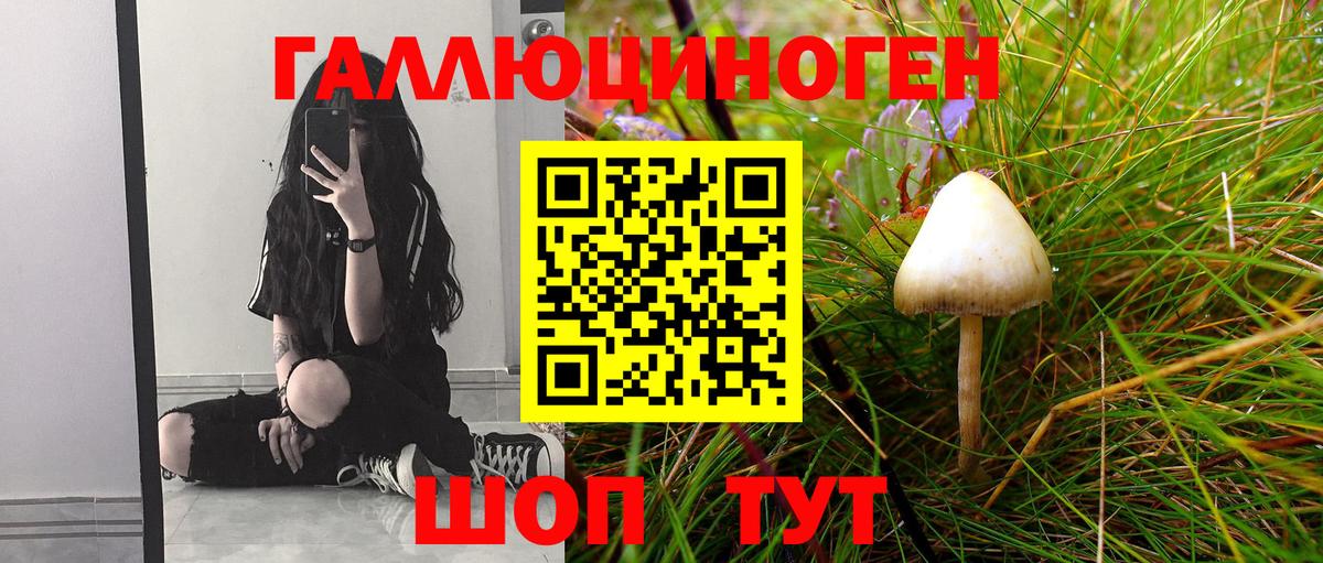 Галлюциногенные грибы мицелий Кузнецк