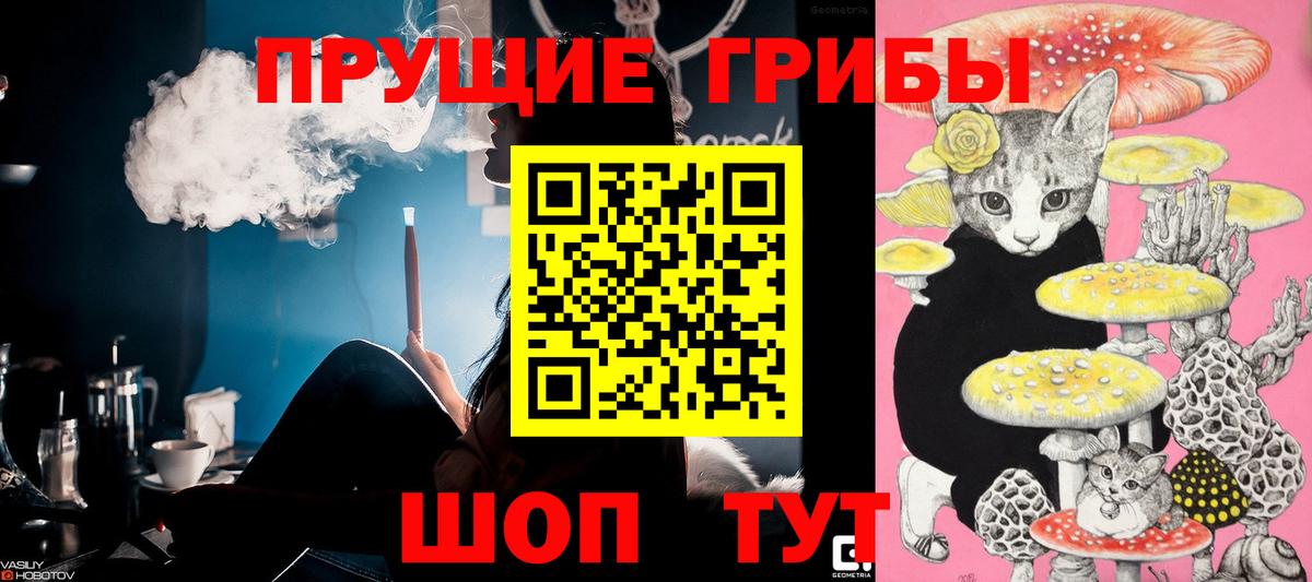 Кузнецк  Псилоцибиновые грибы Magic Shrooms  Вход с VPN 